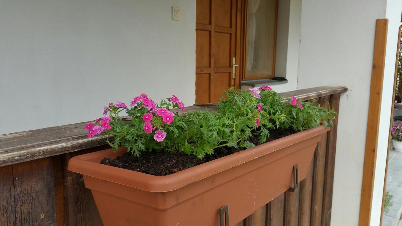 Elo Tisza Vendeghaz Hotel Nagykoru Exterior foto