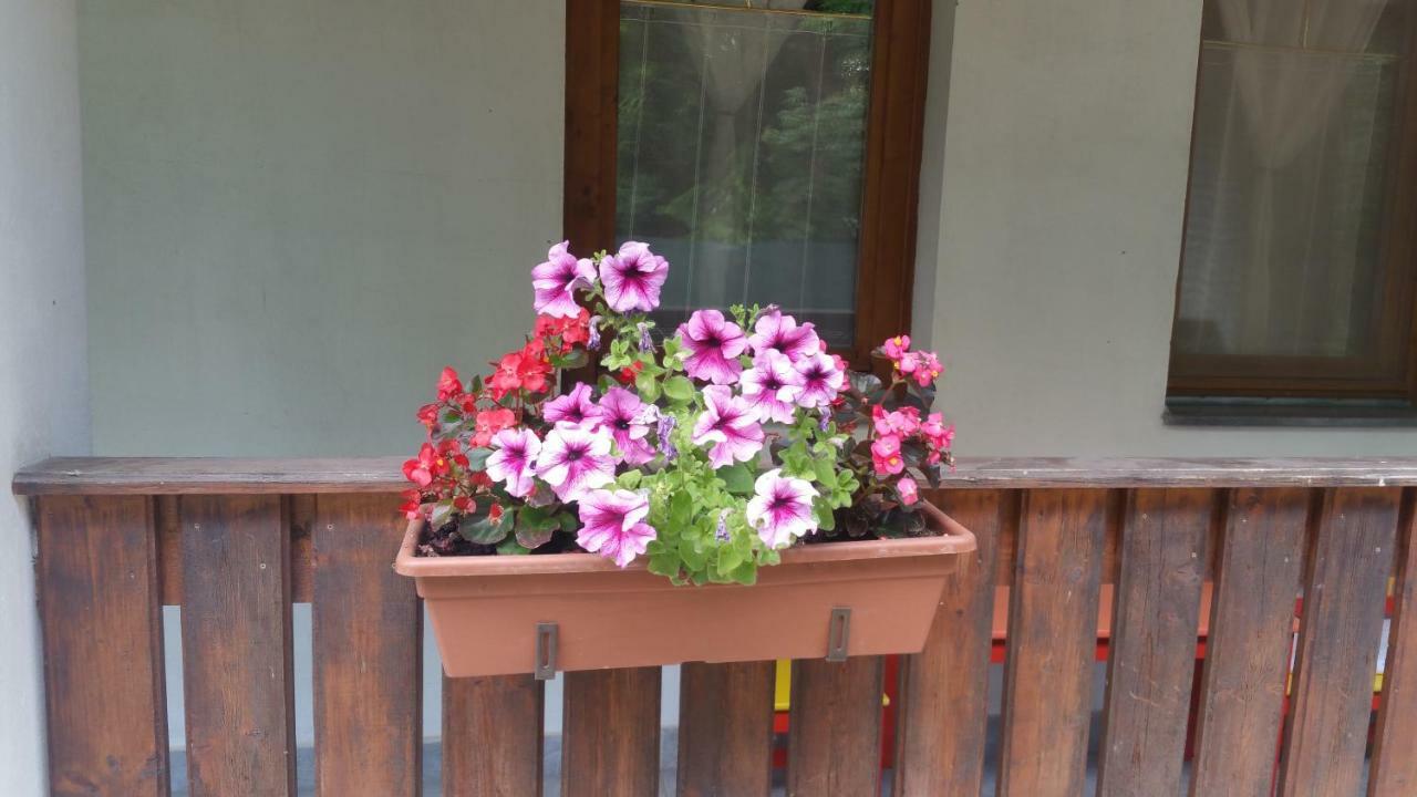 Elo Tisza Vendeghaz Hotel Nagykoru Exterior foto