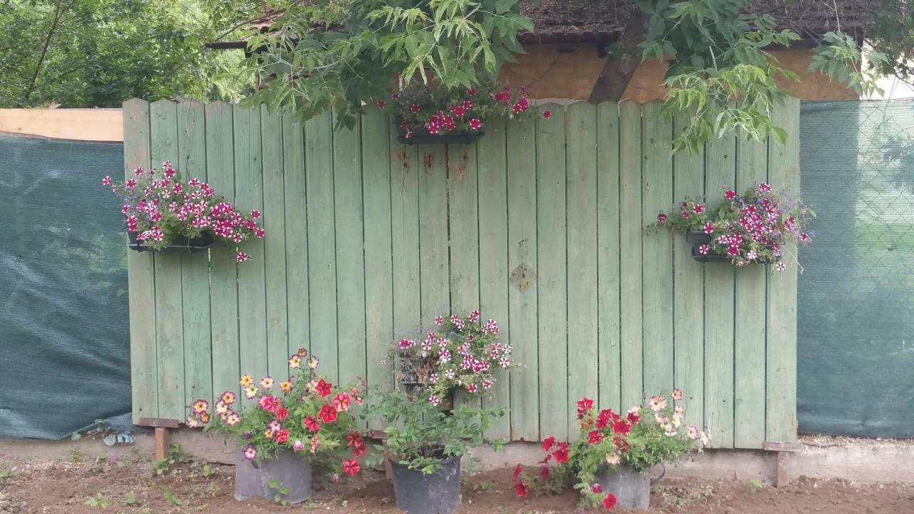 Elo Tisza Vendeghaz Hotel Nagykoru Exterior foto