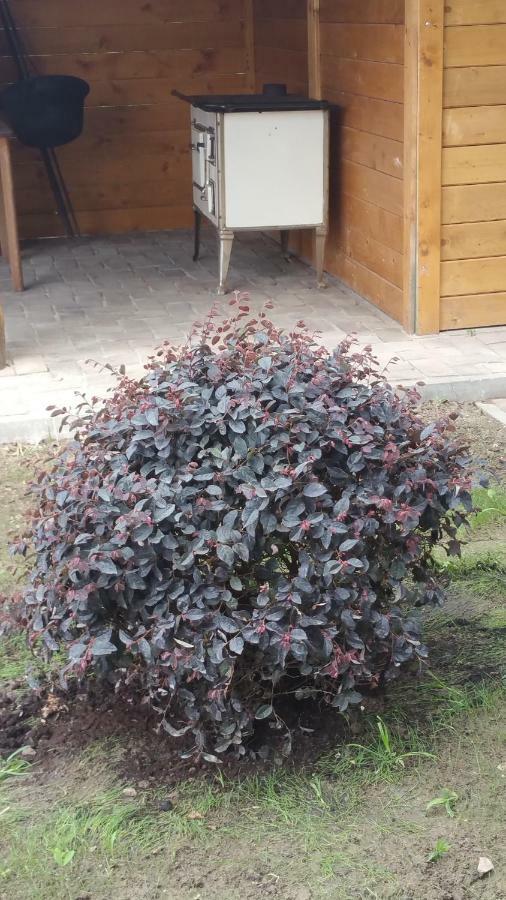 Elo Tisza Vendeghaz Hotel Nagykoru Exterior foto